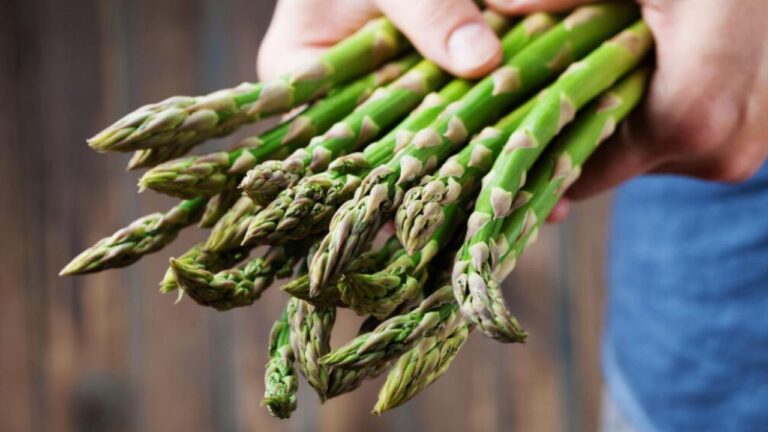 How to Choose Companion Plants for Asparagus