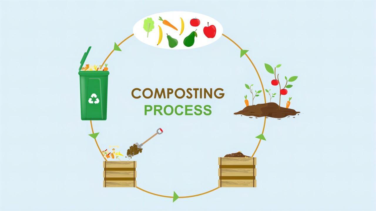 How to Cleverly Compost in Your Vegetable Garden