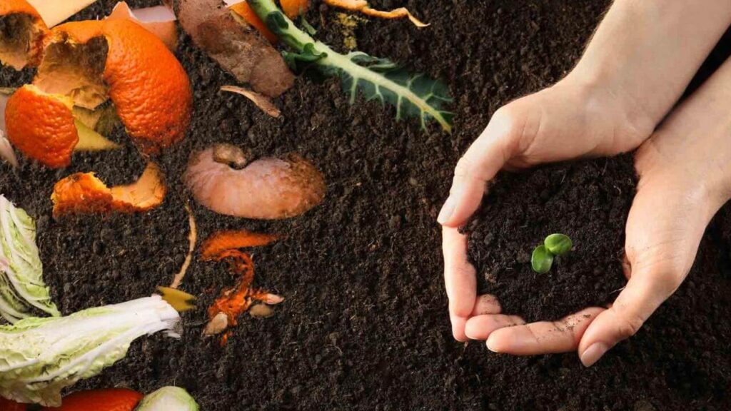 How to Cleverly Compost in Your Vegetable Garden