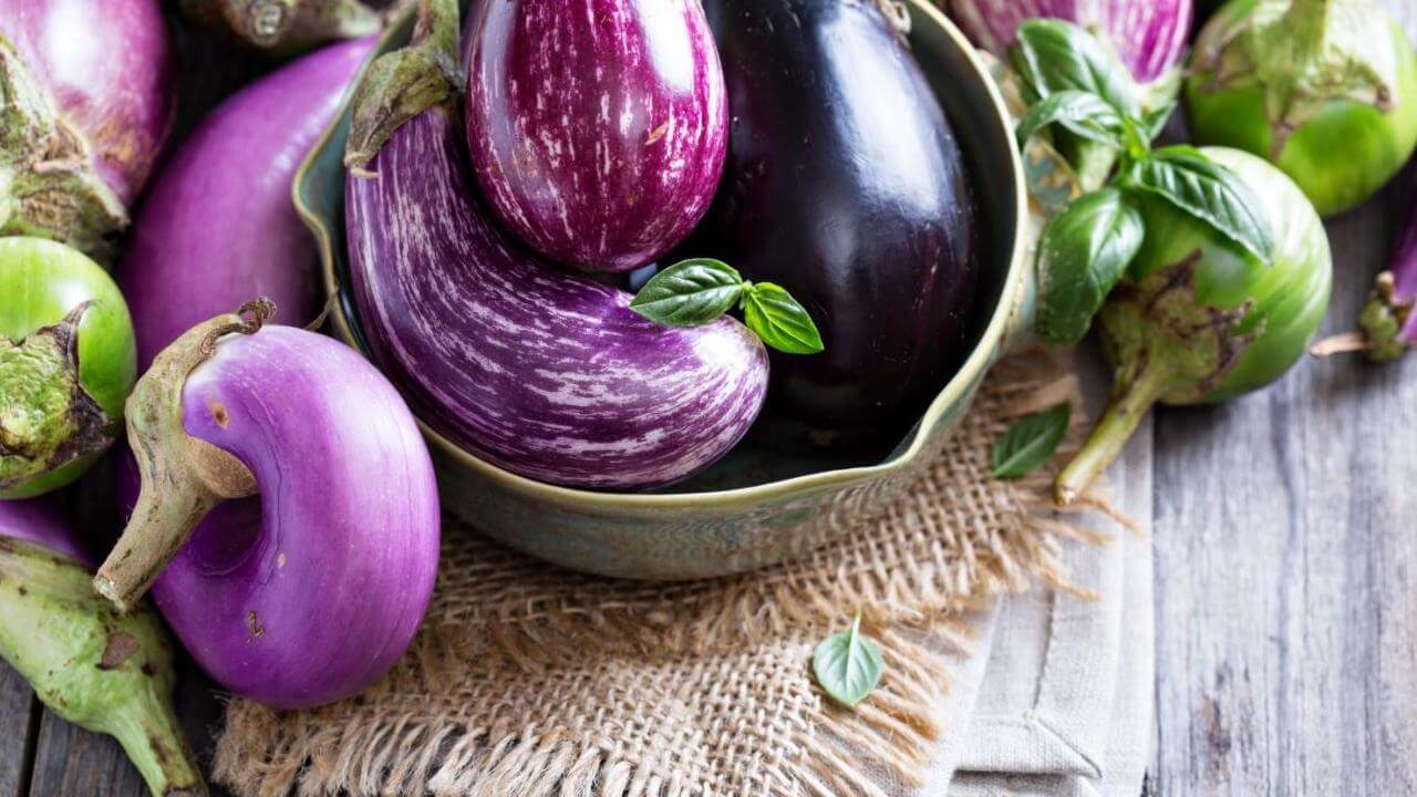 How to Improve Eggplant Yields with Companion Plants