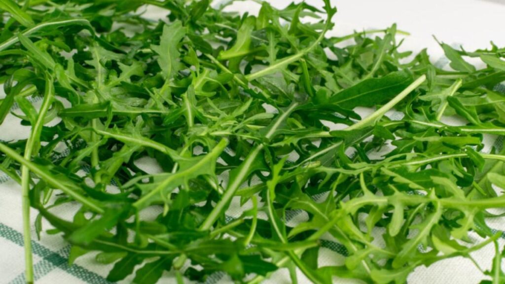How to Plant and Grow Arugula