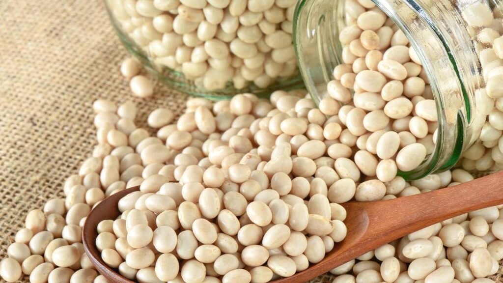 Which Beans are Best for Canning